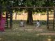 Actividades para Niños en Elizabeth: Guía 2026 con las Mejores Opciones para Toda la Familia Two children playing on swings in a sunny park, capturing summer fun and friendship.