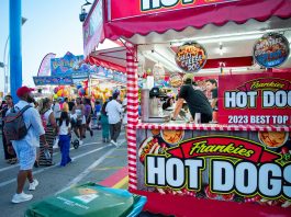 Bustling outdoor fair with a popular hot dog stand and diverse crowd.