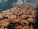 Sabores de Portugal llegan a Newark en 2026
