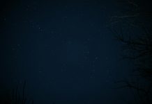 Daily horoscope by Diana Tercer Cielo