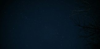 Daily horoscope by Diana Tercer Cielo