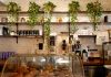 Inviting café in Montreal featuring a display of pastries and lush plants on shelves.