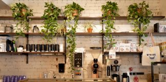 Inviting café in Montreal featuring a display of pastries and lush plants on shelves.