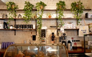Los Mejores Cafés en North Bergen, NJ – Guía 2026 para Amantes del Café Inviting café in Montreal featuring a display of pastries and lush plants on shelves.