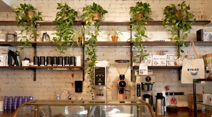 Los Mejores Cafés en North Bergen, NJ – Guía 2026 para Amantes del Café Inviting café in Montreal featuring a display of pastries and lush plants on shelves.