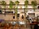 Inviting café in Montreal featuring a display of pastries and lush plants on shelves.