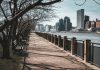 Bare trees line a waterfront walkway in New York City, with skyscrapers in the background.