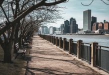 Things Locals Love About Living in Bayonne in 2026 Bare trees line a waterfront walkway in New York City, with skyscrapers in the background.