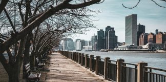 Bare trees line a waterfront walkway in New York City, with skyscrapers in the background.
