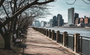 Bare trees line a waterfront walkway in New York City, with skyscrapers in the background.