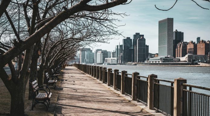 Bare trees line a waterfront walkway in New York City, with skyscrapers in the background.