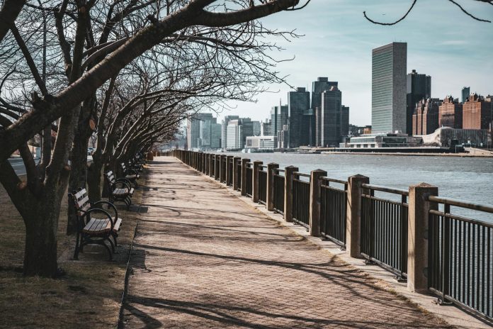 Bare trees line a waterfront walkway in New York City, with skyscrapers in the background.
