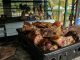 A close-up of a fresh, rustic barbecue platter filled with various grilled meats, perfect for outdoor gatherings.