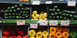 Best Supermarkets in Union City: Your 2026 Guide to Fresh Groceries Colorful assortment of fresh vegetables at a supermarket display, highlighting peppers, squash, and cucumbers.
