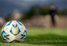 Close-up of an official Argentine soccer ball resting on a green field with a blurred background.