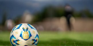Close-up of an official Argentine soccer ball resting on a green field with a blurred background.