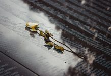 BREAKING: Vietnam Veterans Honored at Jersey City Memorial Day Event A white rose placed on a reflective memorial wall listing names, conveying remembrance.