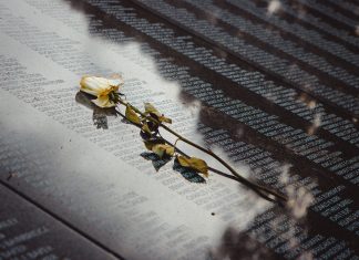 A white rose placed on a reflective memorial wall listing names, conveying remembrance.
