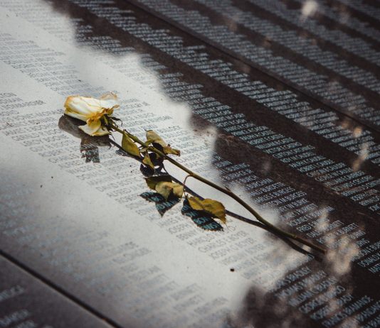 A white rose placed on a reflective memorial wall listing names, conveying remembrance.