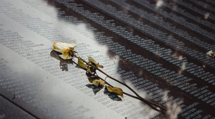 BREAKING: Vietnam Veterans Honored at Jersey City Memorial Day Event A white rose placed on a reflective memorial wall listing names, conveying remembrance.