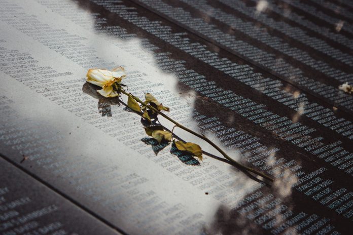 breaking-vietnam-veterans-honored-at-jersey-city-m A white rose placed on a reflective memorial wall listing names, conveying remembrance.