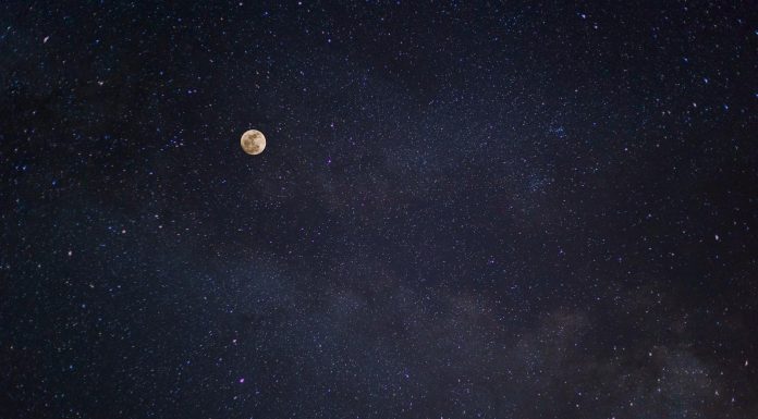 Daily horoscope by Diana Tercer Cielo