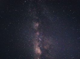 Daily horoscope by Diana Tercer Cielo