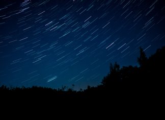 Daily horoscope by Diana Tercer Cielo