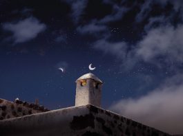 Daily horoscope by Diana Tercer Cielo