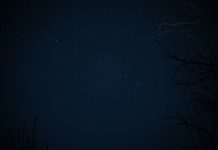 Daily horoscope by Diana Tercer Cielo