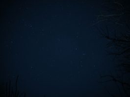 Daily horoscope by Diana Tercer Cielo