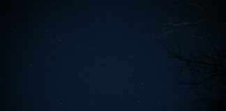 Daily horoscope by Diana Tercer Cielo