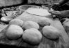 Black and white image of hands rolling dough in a traditional setting.