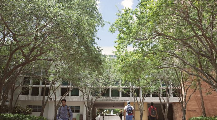 A Full College Campus in Union City Opens Doors to 19 Degrees Students walking through a sunlit university campus in Coral Gables, Florida.