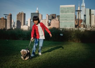 Best Activities for Kids in West New York (2026 Guide) Ethnic child with Yorkshire Terrier on leash preparing to run on meadow against urban skyscrapers