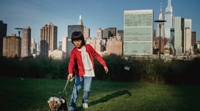 Ethnic child with Yorkshire Terrier on leash preparing to run on meadow against urban skyscrapers