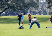Group of kids enjoying a soccer game on a sunny day in the park.