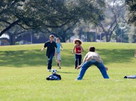 Group of kids enjoying a soccer game on a sunny day in the park.