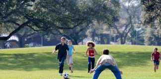 Group of kids enjoying a soccer game on a sunny day in the park.