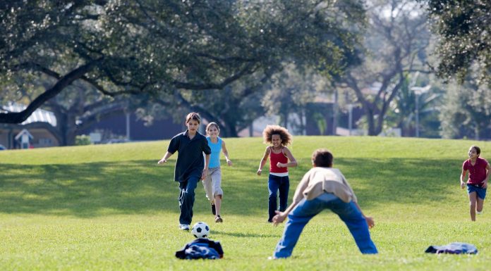 Group of kids enjoying a soccer game on a sunny day in the park.