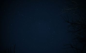 Daily horoscope by Diana Tercer Cielo