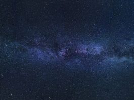 Daily horoscope by Diana Tercer Cielo