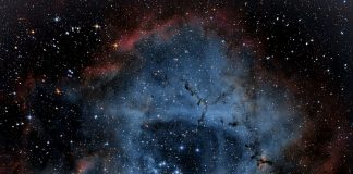 Daily horoscope by Diana Tercer Cielo