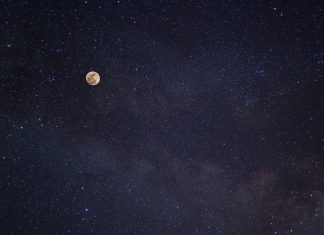 Daily horoscope by Diana Tercer Cielo