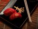 A close-up of two pieces of salmon sushi on a decorative plate with chopsticks.