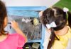 Children enjoying drawing on a blackboard in a vibrant classroom setting, highlighting creativity and education.