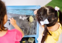 Children enjoying drawing on a blackboard in a vibrant classroom setting, highlighting creativity and education.