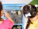 Children enjoying drawing on a blackboard in a vibrant classroom setting, highlighting creativity and education.