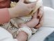 Crop anonymous mother embracing and feeding adorable newborn baby with milk from bottle at home