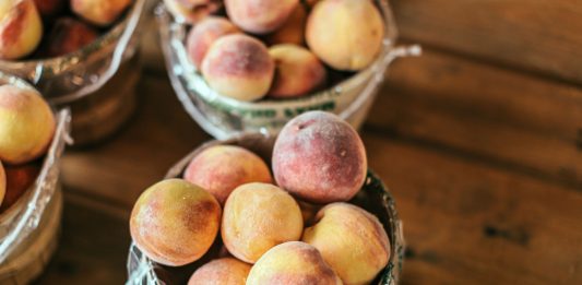 A collection of fresh peaches stacked in baskets, highlighting their juicy appeal and rustic setup.